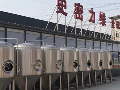 衡水精酿啤酒设备厂—市场规模与跨界新需求
